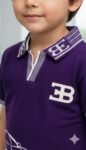 Purple Colour Polo T-Shirt & Shorts Front